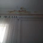 Illés Panzió Szeged - Egyéb