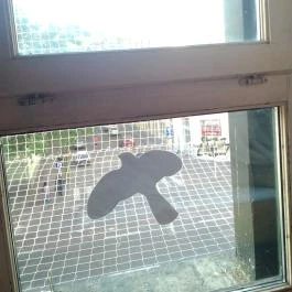 Play Pub House Debrecen - Egyéb