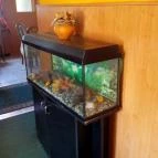 Puskás Panzió Hajdúszoboszló - Belső