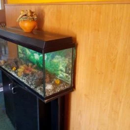 Puskás Panzió Hajdúszoboszló - Belső