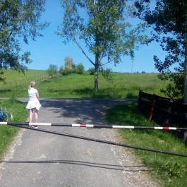 Zselicvölgy Szabadidőfarm Hajmás - Medence/kert