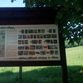 Zselicvölgy Szabadidőfarm Hajmás - Egyéb