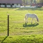 Zselicvölgy Szabadidőfarm Hajmás - Egyéb