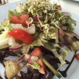 Zenit Balaton Étterem & Bar, Vonyarcvashegy - Étel/ital