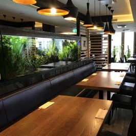 Sushi Sei Étterem, Budapest - Belső