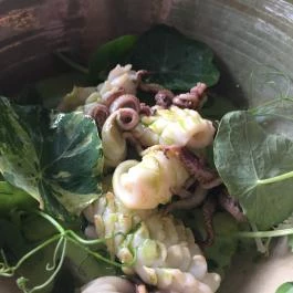 Tanti - Hegyvidék Bevásárlóközpont, Budapest - Étel/ital