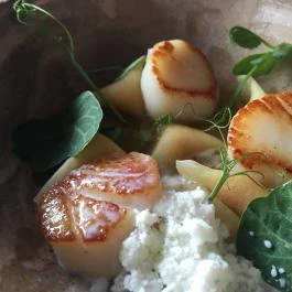 Tanti - Hegyvidék Bevásárlóközpont, Budapest - Étel/ital