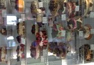 Vári Cukrászda Budapest