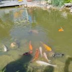 SunGarden Wellness Hotel Siófok - Külső kép