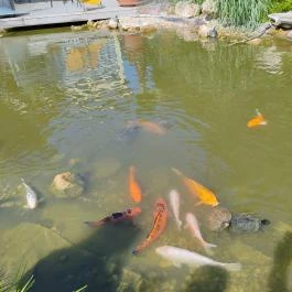 SunGarden Wellness Hotel Siófok - Külső kép