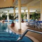 Apartmanpark és Kemping Cegléd - Medence/kert