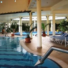 Apartmanpark és Kemping Cegléd - Medence/kert