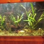 Berek Halászkert Bajánsenye - Belső