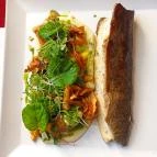 Macok Bisztró és Borbár Eger - Étel/ital