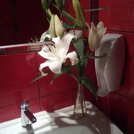 Turul Kisvendéglő Szarvas - Mosdó