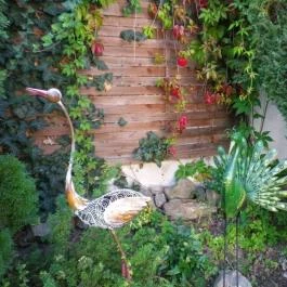 Sziget Vendégház Kőszeg - Környék