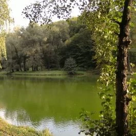 Ambient Hotel & ThermalSPA**** Sikonda - Környék