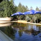 Termál Hotel Pávai Berekfürdő - Medence/kert