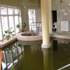 Termál Hotel Pávai Berekfürdő - Medence/kert