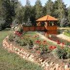 Termál Hotel Pávai Berekfürdő - Medence/kert