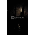 Tornyos Panzió Mátrafüred - Egyéb