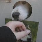 Tornyos Panzió Mátrafüred - Egyéb