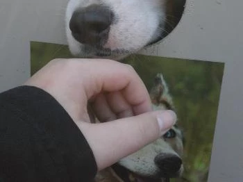 Tornyos Panzió Mátrafüred