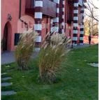 Mesés Shiraz Hotel Egerszalók - Külső kép