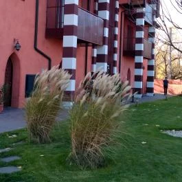 Mesés Shiraz Hotel, Egerszalók - Külső kép