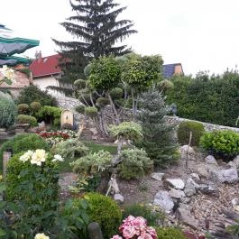 Szent Orbán Kisvendéglő Velence - Egyéb