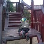 Bagolyvár Inárcs Inárcs - Környék