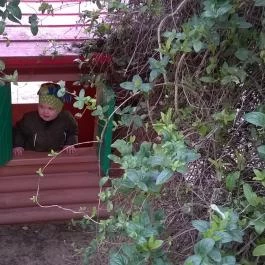 Bagolyvár Inárcs Inárcs - Környék