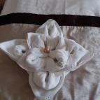 Arcanum Hotel Békéscsaba - Szobák