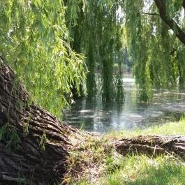 Hercegasszony Birtok, Mezőtúr - Medence/kert