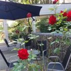 Jankovich Kúria Wellness Hotel Rácalmás - Medence/kert