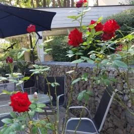 Jankovich Kúria Wellness Hotel, Rácalmás - Medence/kert