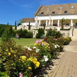 Takler Pince , Szekszárd - Egyéb