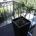 Tata Panzió Tata - Egyéb