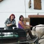 Zichy Park Hotel Bikács - Egyéb