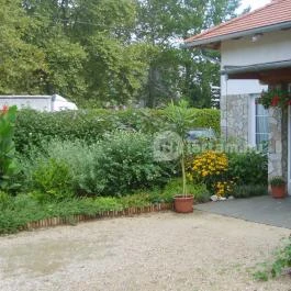 Hotel Platán Zamárdi, Zamárdi - Medence/kert