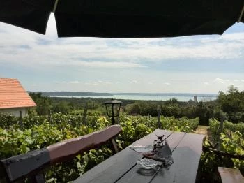 Laci Pince Csárda Vászoly