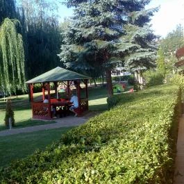 Art Hotel, Zalakaros - Medence/kert