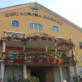 Egri Korona Borház & Wellness Hotel Demjén - Külső kép