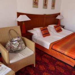 Liget Wellness & Konferencia Hotel , Szarvas - Szobák