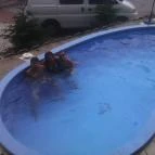 Sirály Apartmanház Káptalanfüred - Medence/kert