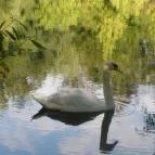 Bástya Konferencia és Wellness Hotel Miskolctapolca - Környék