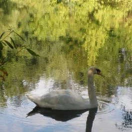 Bástya Konferencia és Wellness Hotel, Miskolctapolca - Környék