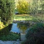 Forrás Vendégház Bakonyjákó - Medence/kert