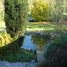 Forrás Vendégház Bakonyjákó - Medence/kert