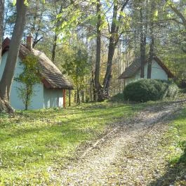 Forrás Vendégház Bakonyjákó - Külső kép